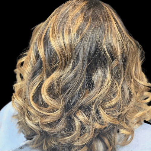Highlights